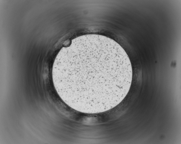 X0000114220220200911201054