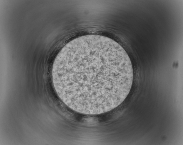 X0000114220221200911201054