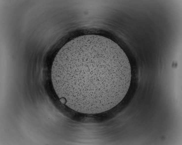 X0000114220224200911201054
