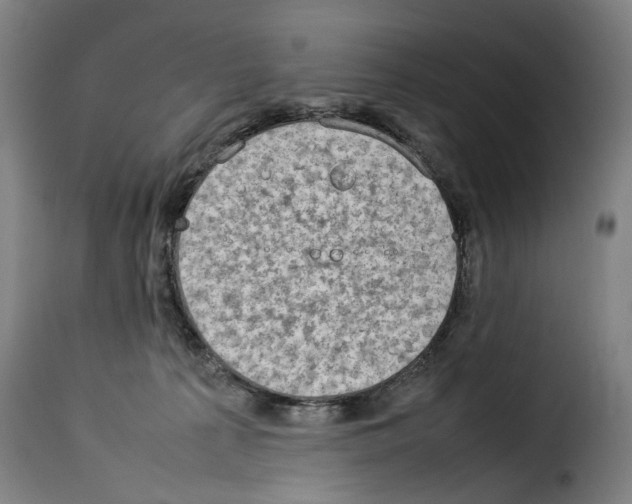 X0000114220225200911201054