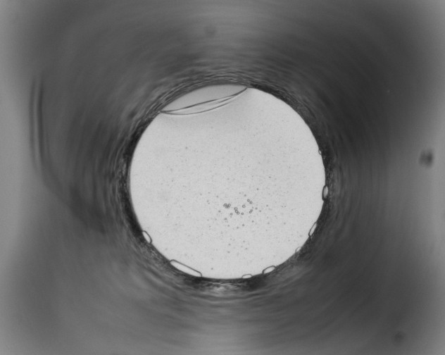 X0000114220229200911201053