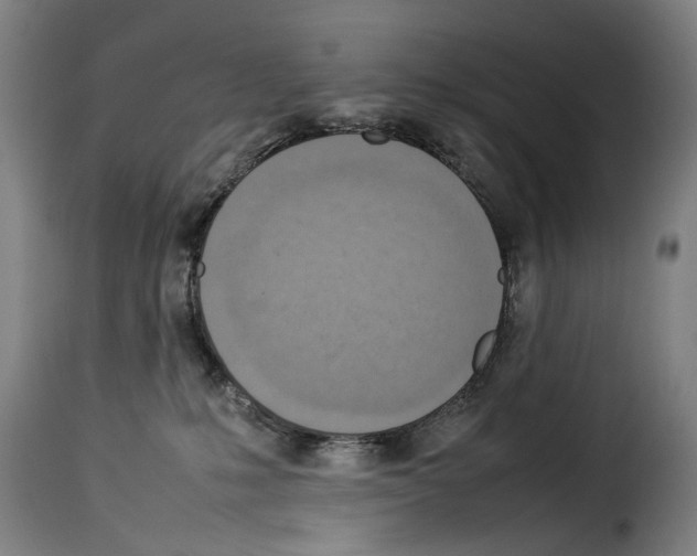 X0000114220231200911201053