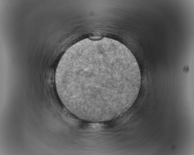 X0000114220233200911201053