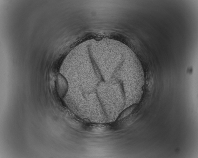 X0000114220235200911201053