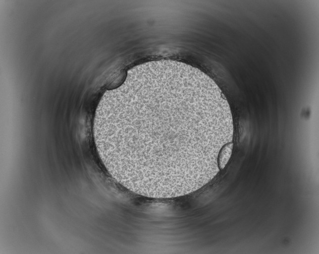 X0000114220236200911201053