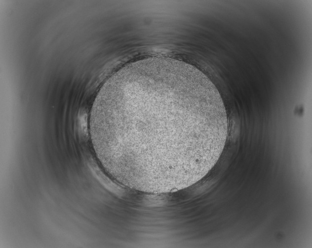 X0000114220238200911201053