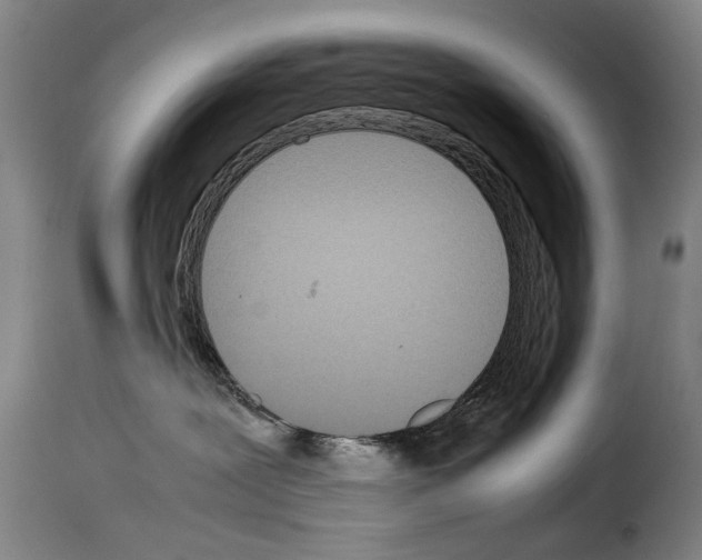 X0000114220239200911201053