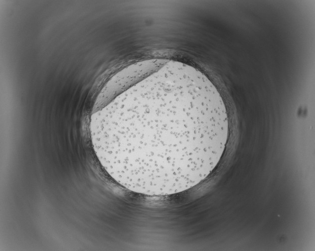 X0000114220240200911201053