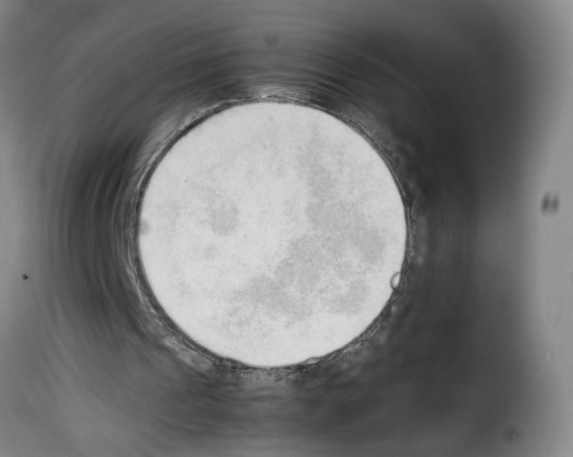 X0000114220241200911201052