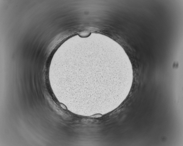 X0000114220242200911201052