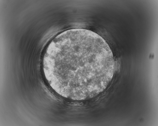 X0000114220243200911201052