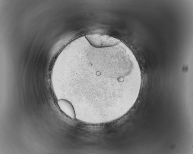 X0000114220245200911201052