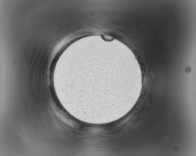 X0000114220246200911201052