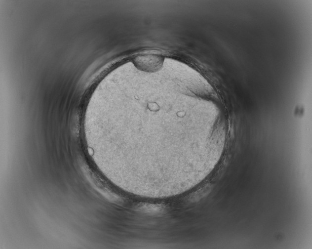 X0000114220247200911201052