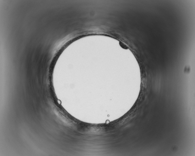 X0000114220248200911201052