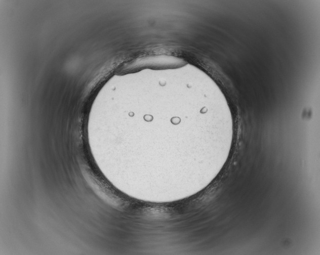 X0000114220250200911201052