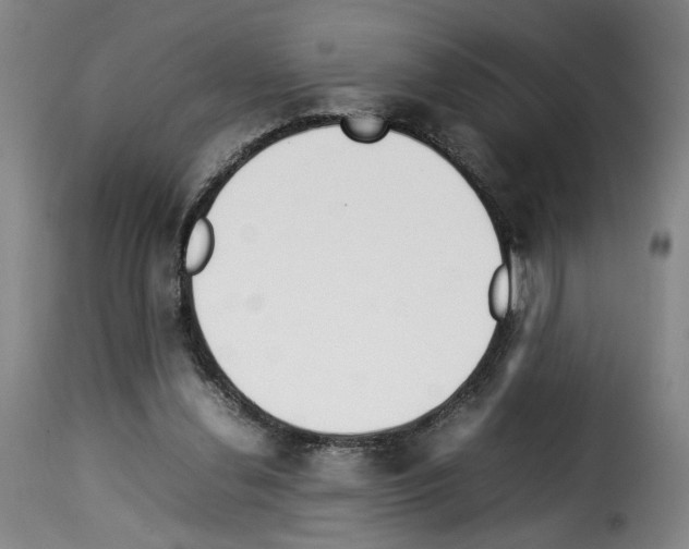 X0000114220252200911201052