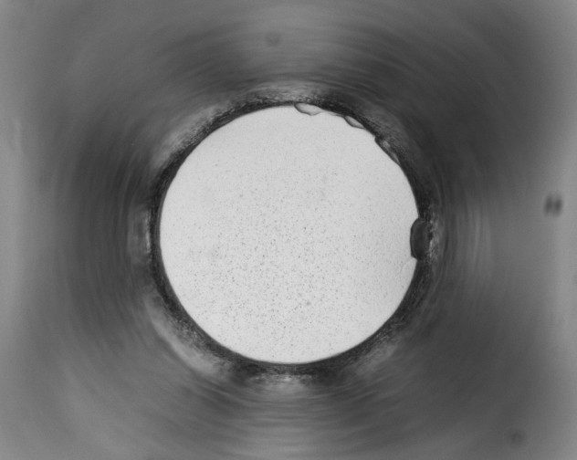 X0000114220254200911201053