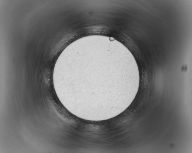 X0000114220255200911201053