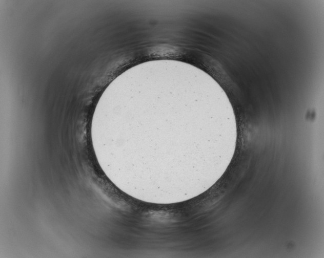 X0000114220259200911201053