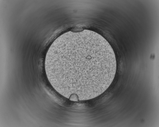 X0000114220260200911201053