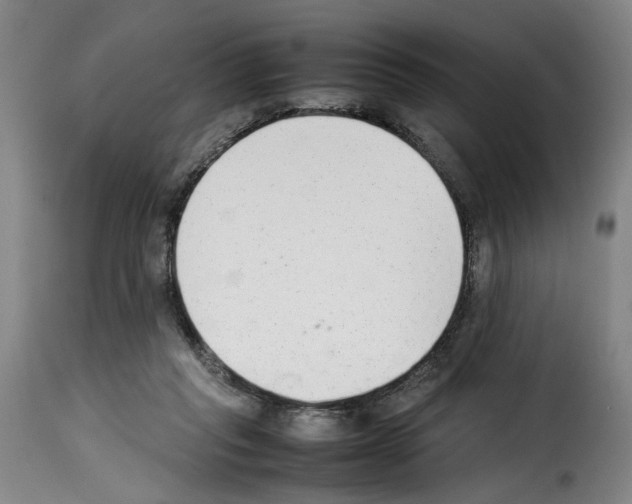 X0000114220261200911201053