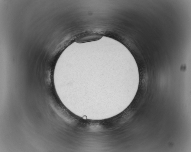 X0000114220262200911201053