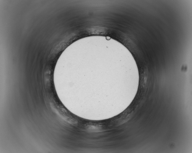 X0000114220263200911201053
