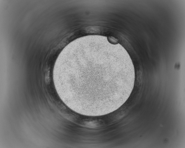 X0000114220267200911201053