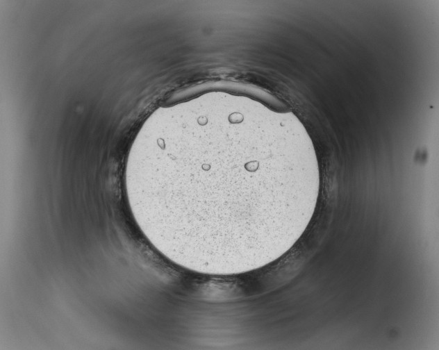X0000114220270200911201053