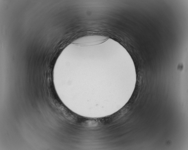 X0000114220272200911201053