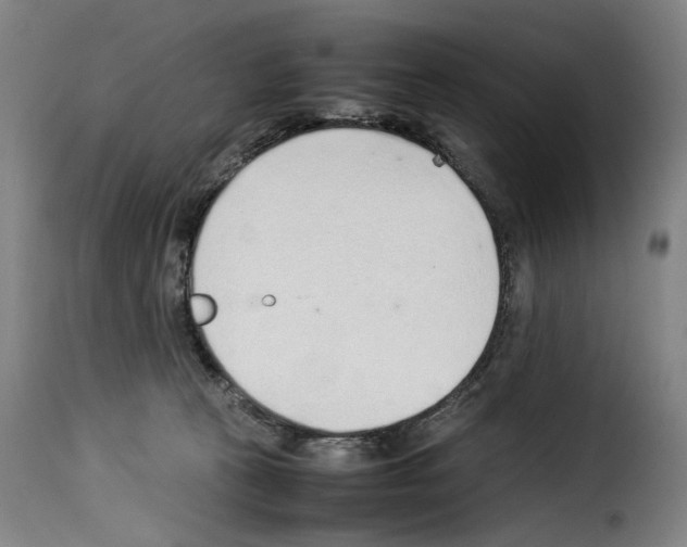 X0000114220273200911201053