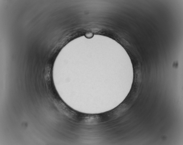 X0000114220274200911201053