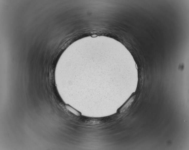 X0000114220276200911201053