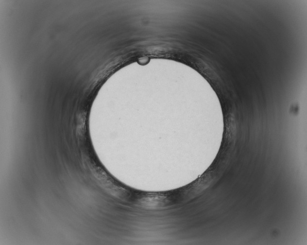 X0000114220278200911201053