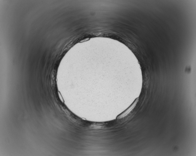 X0000114220280200911201053
