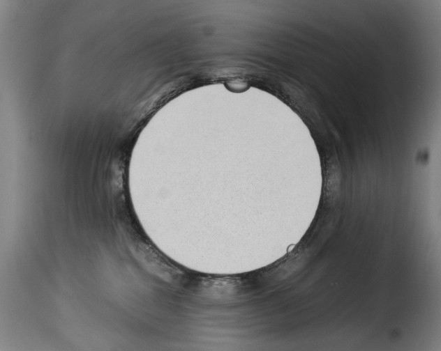 X0000114220282200911201053