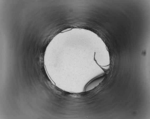 X0000114220284200911201053