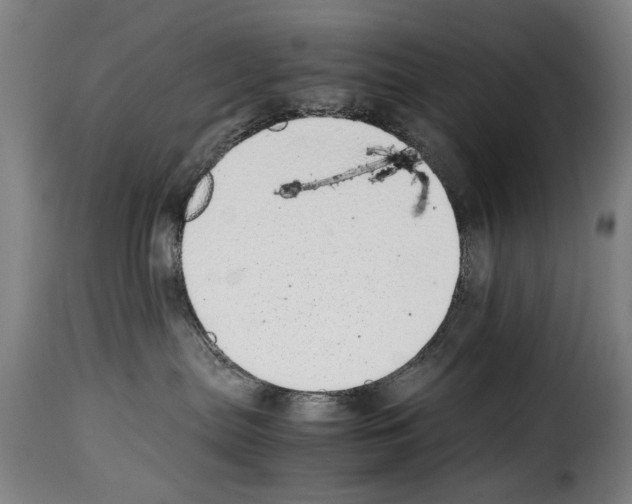 X0000114220287200911201053