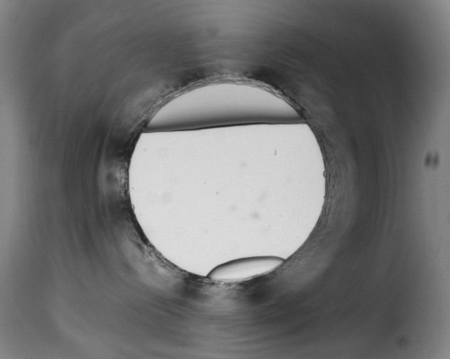 X0000114220288200911201053