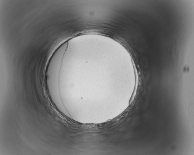 X0000114220289200911201052