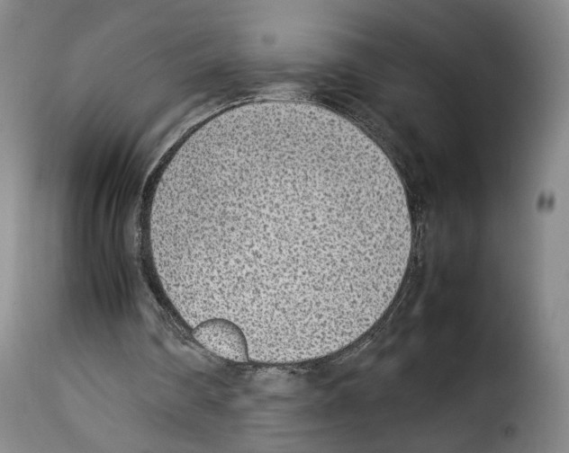 X0000114220290200911201052
