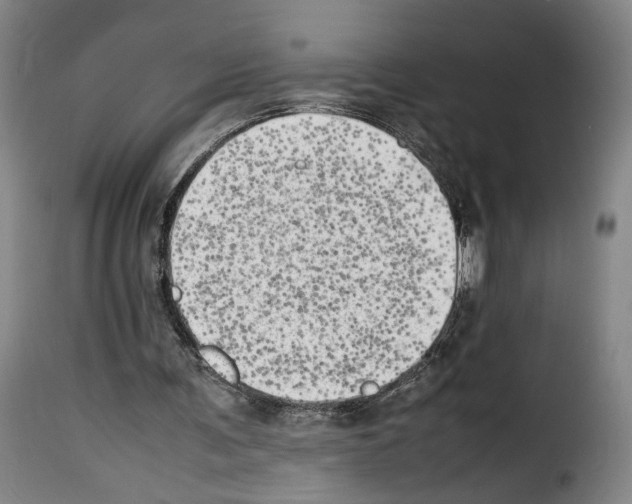X0000114220291200911201052
