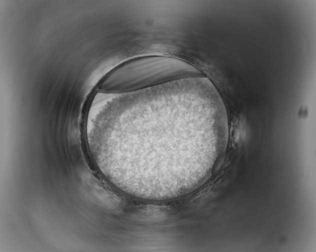 X0000114220292200911201052