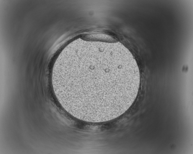 X0000114220295200911201052