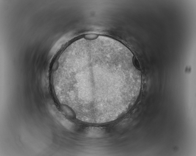 X0000114220296200911201052