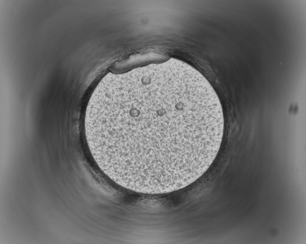 X0000114220299200911201052