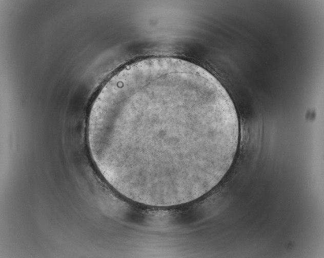 X0000114220301200911201052