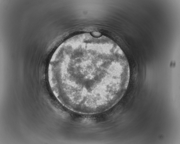 X0000114220303200911201052
