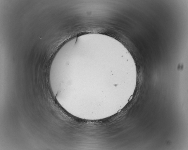 X0000114220305200911201052
